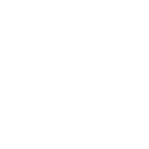 logo trans-white